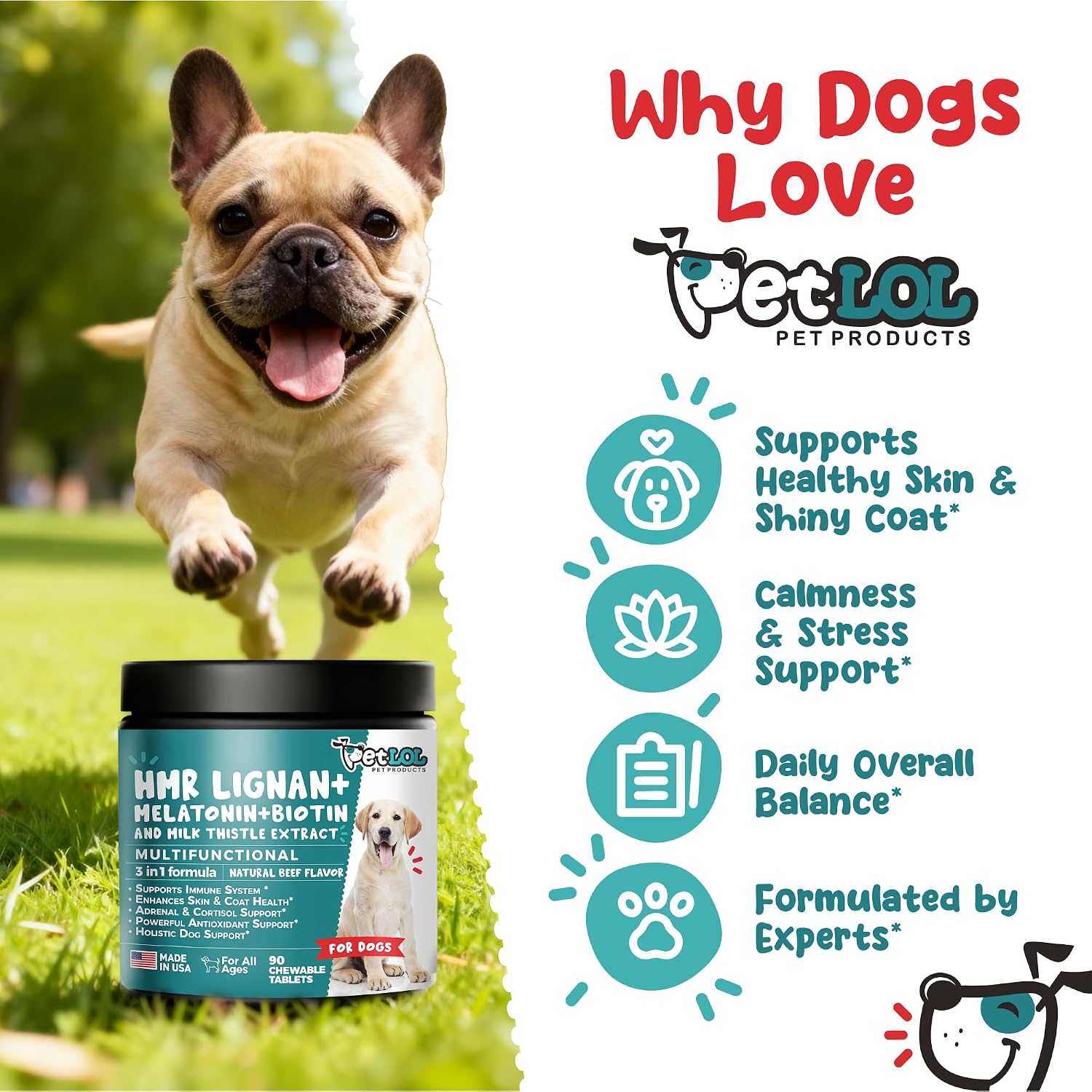 HMR Lignan + Melatonin + Biotin + Milk Thistle for Dogs | 4-in-1 Formula | 90 Chewable Tablets | Natural Beef Flavour - görsel 5