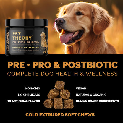 Pet Theory Probiotics for Dogs – Pre, Pro & Postbiotic Soft Chews for Digestive Health and Immune Support (100 Chews)
