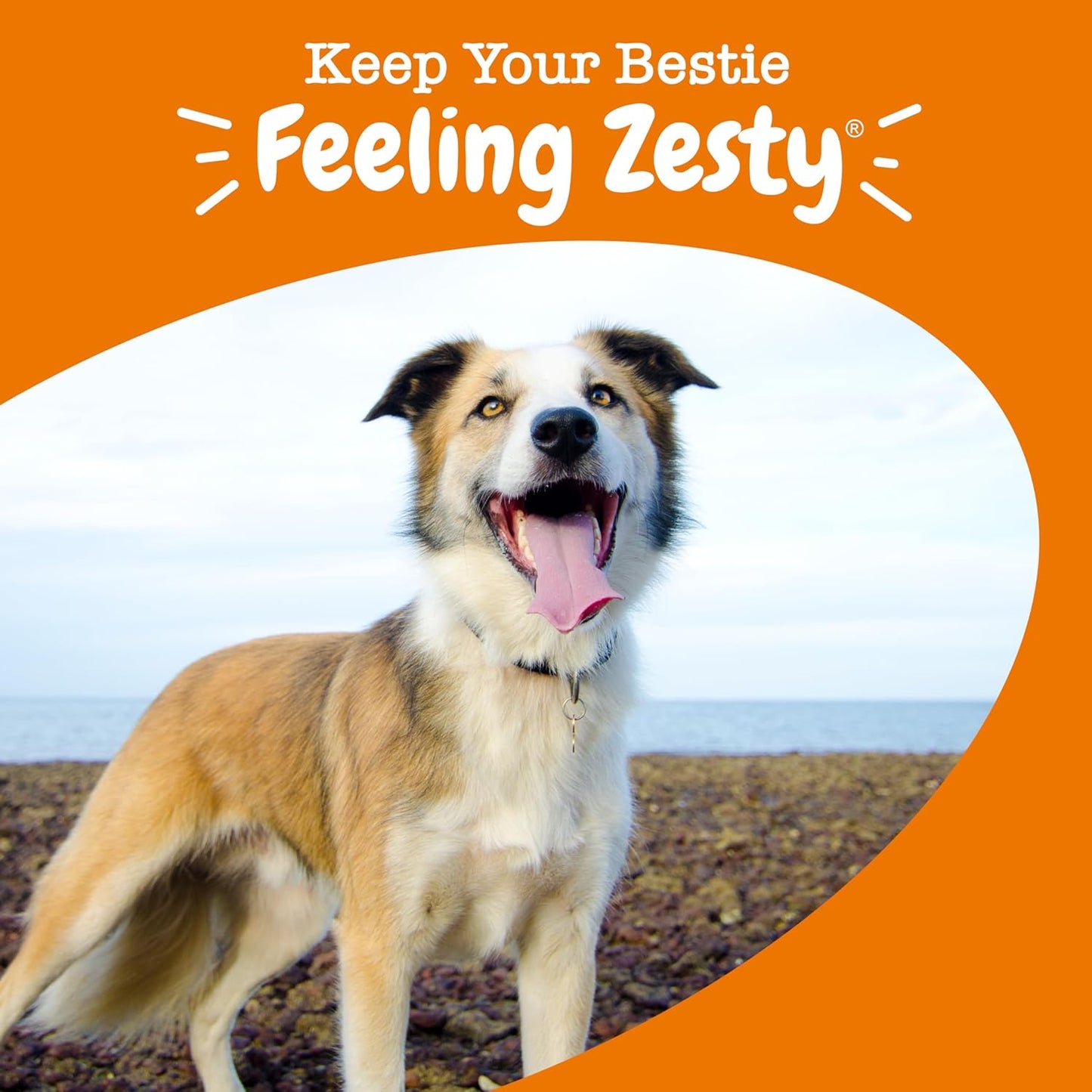 Zesty Paws Multifunctional Bites Dog Multivitamin, Chicken, 90 Chews - görsel 7