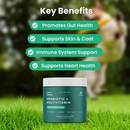 Paw Balance Dog Probiotics and Multivitamin Chews – Digestive Health, Immune Support, Allergy Relief, 60 Soft Chews – Image 2