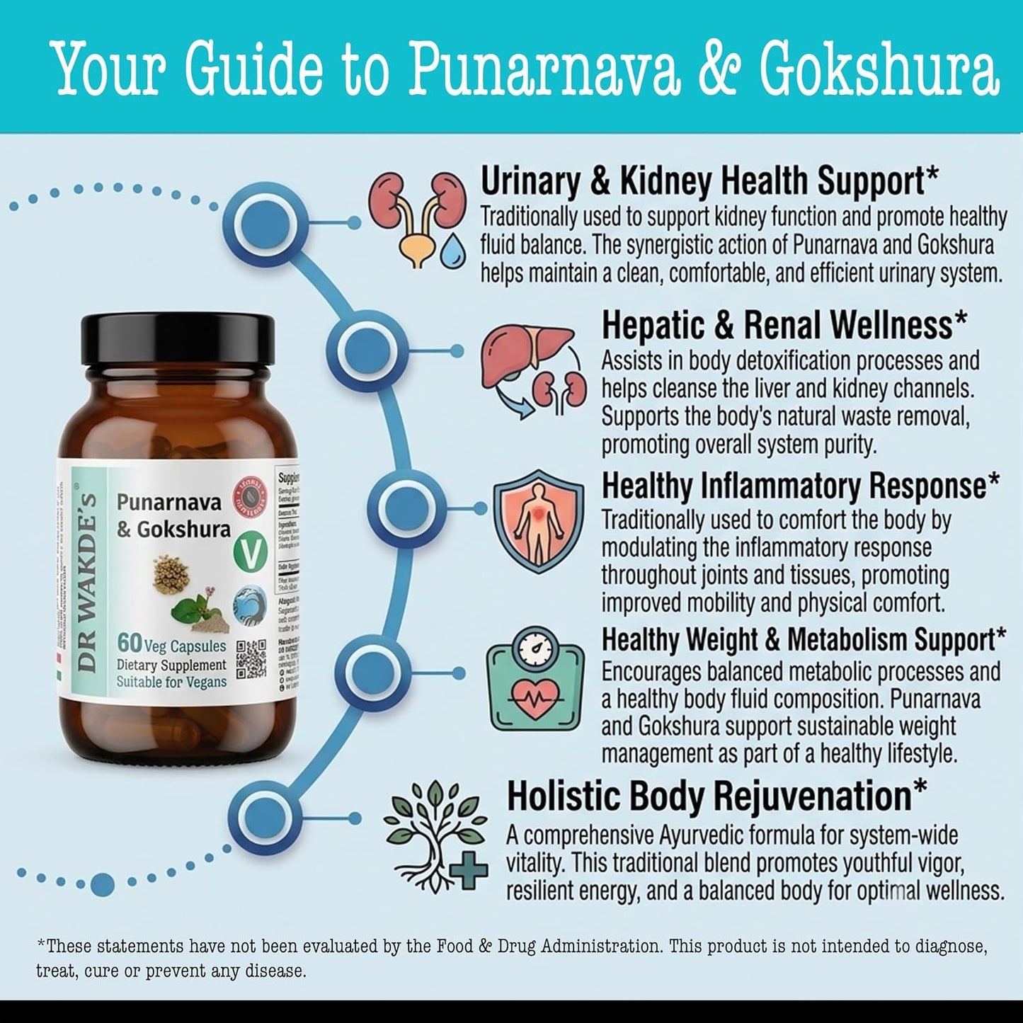DR WAKDE's Punarnava & Gokshura Capsules (60 Veg Caps, Ayurvedic Urinary Support) - görsel 3