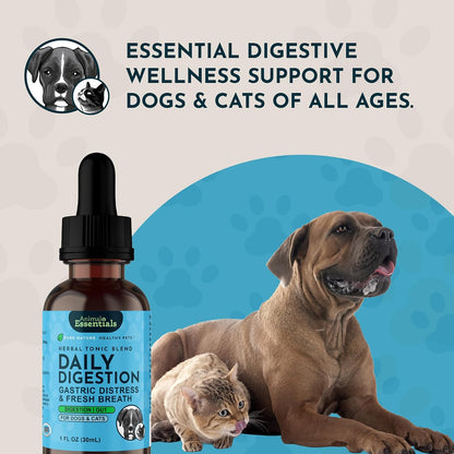 Animal Essentials Fresh Breath & Daily Digestion Supplement for Dogs & Cats, 60 mL - Organic Ginger & Mint, Alcohol Free