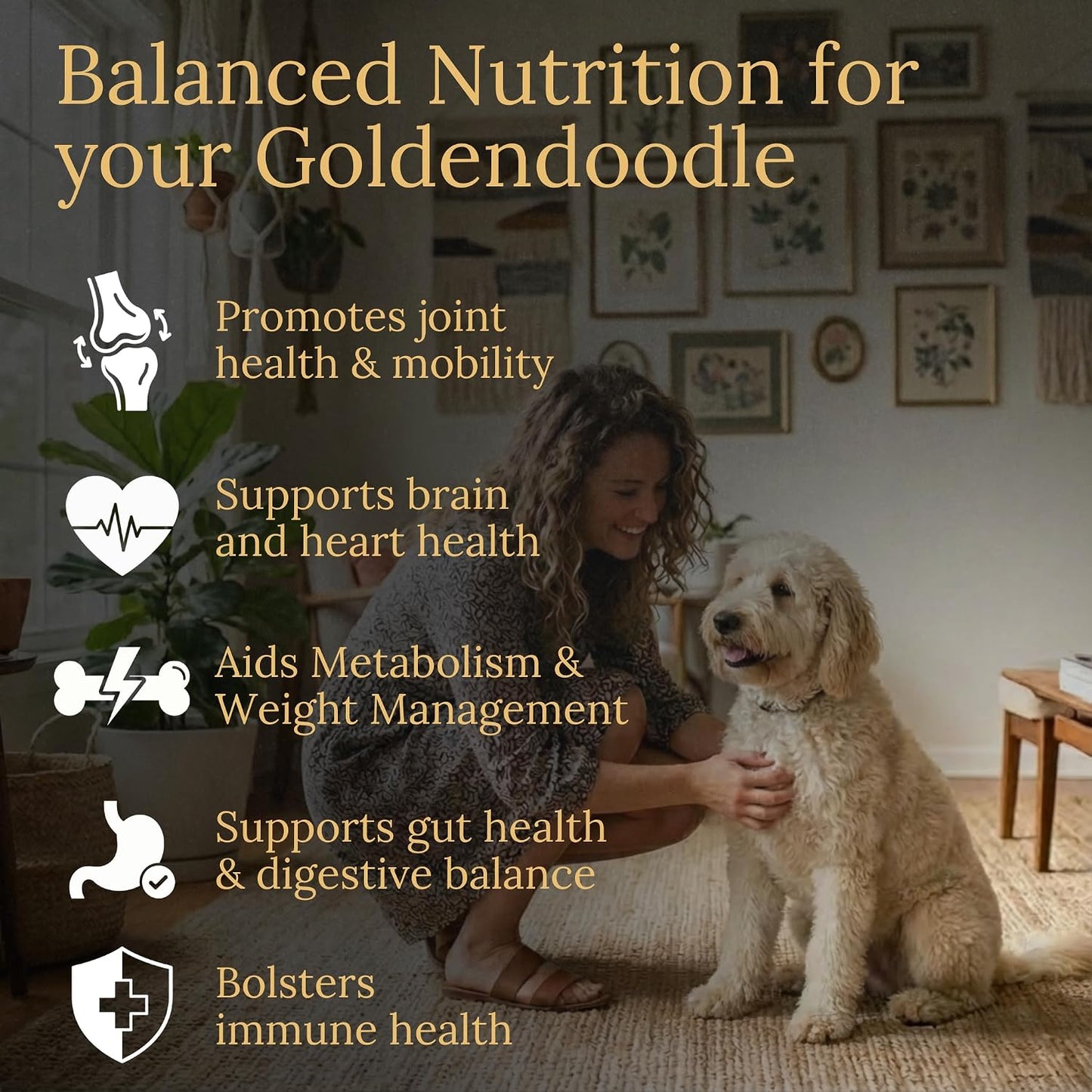 Prestige Breed Multivitamins, Balanced Nutrition for Your Goldendoodle, 90 Chews, Made in the USA with Real Bacon Flavour - görsel 2