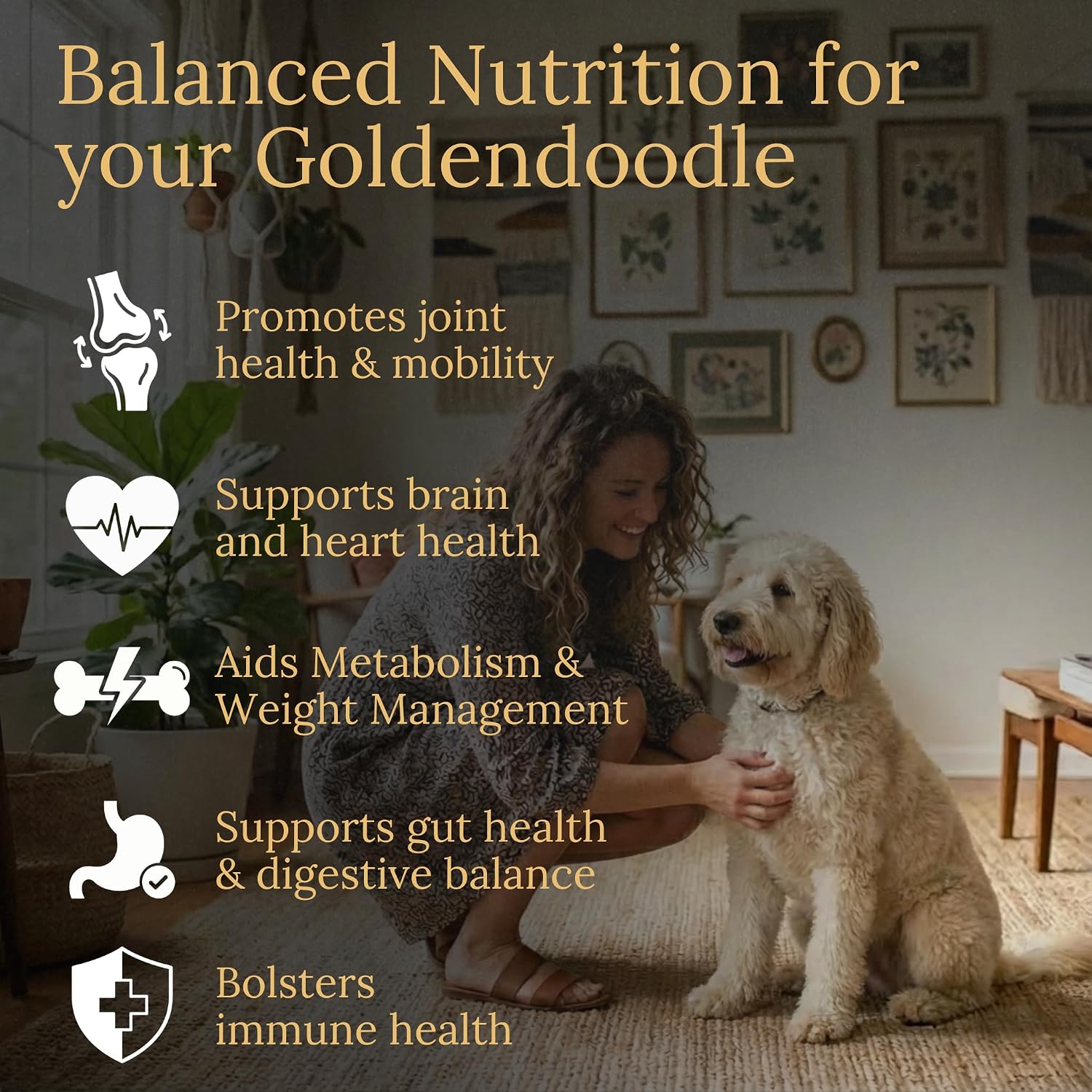 Prestige Breed Multivitamins, Balanced Nutrition for Your Goldendoodle, 90 Chews, Made in the USA with Real Bacon Flavour - görsel 2