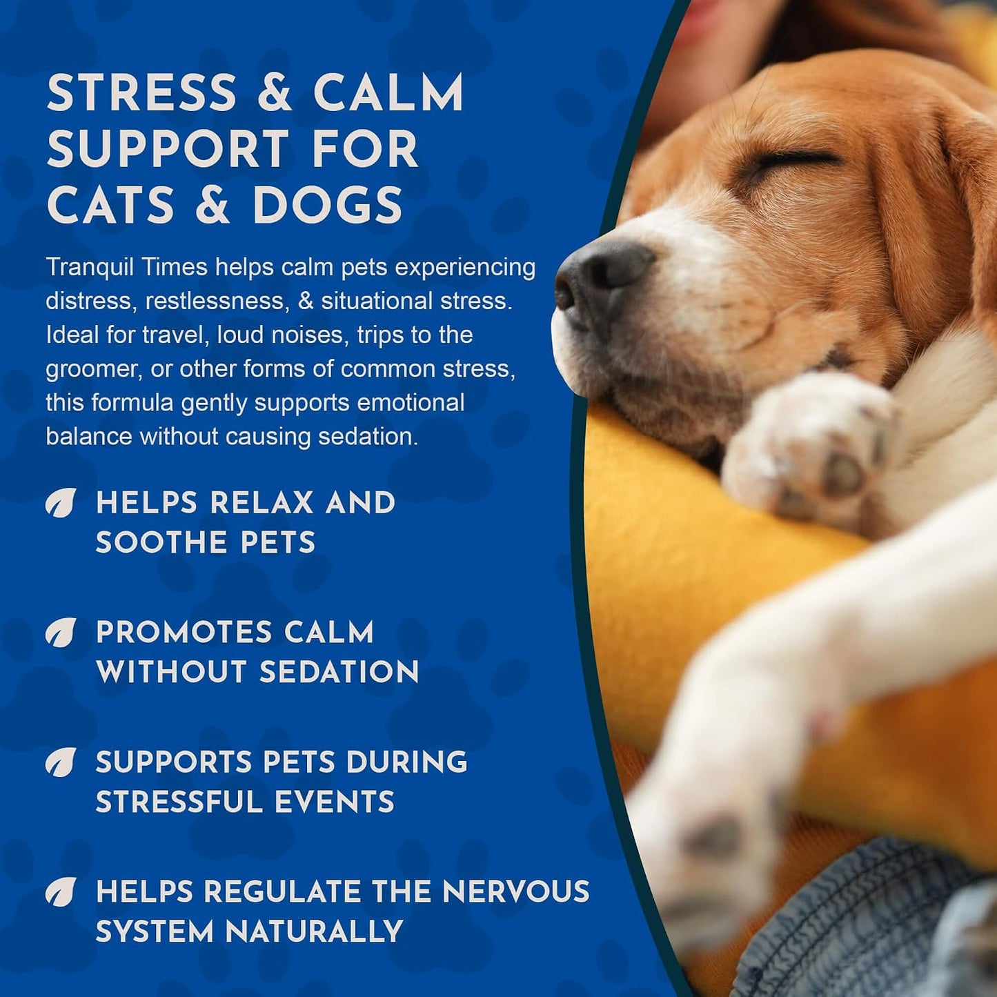 Tranquillity Blend - Organic Valerian Root Calming Drops for Dogs and Cats - görsel 5