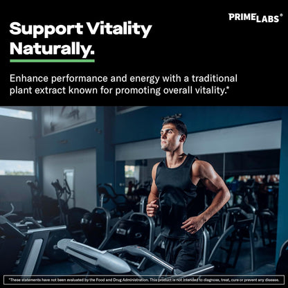 Prime Labs Fadogia Agrestis for Men - 600mg – Energy & Stamina: Designed to keep you going strong, whether at the – Image 3