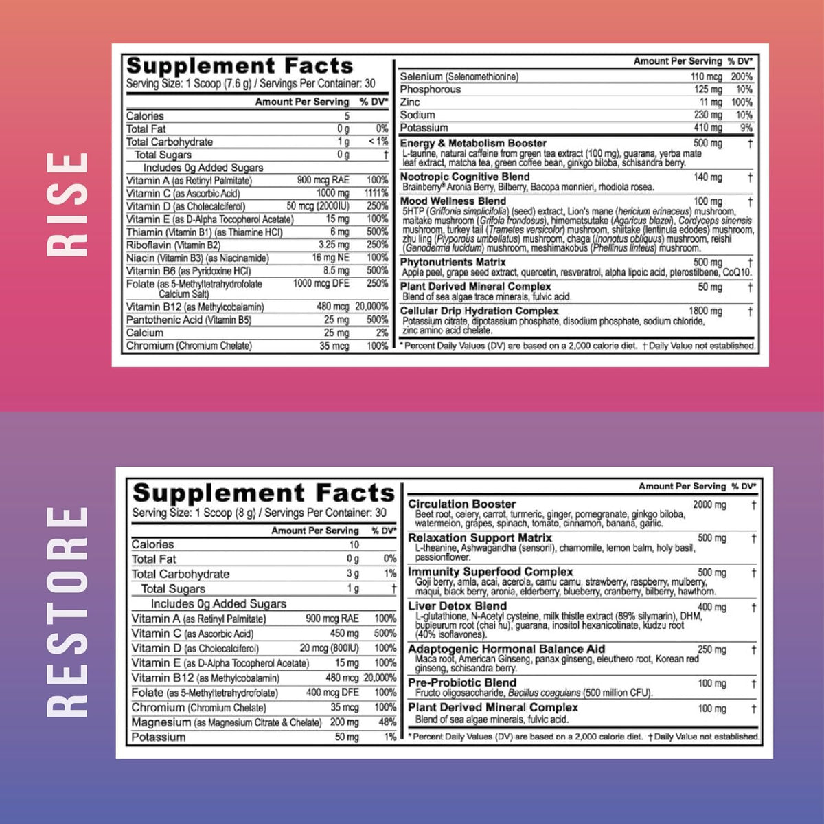 Youngevity Beyond Tangy Tangerine 3.0 Rise & – Cognitive Function: May improve mental focus, clarity, and memory – Image 2