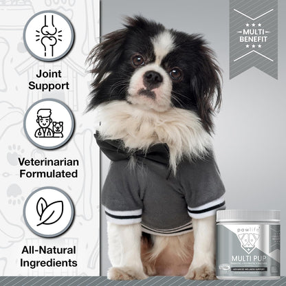 All Natural Multivitamin Soft Chews for Dogs 240ct – Image 3