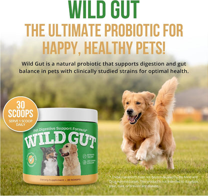 Wild Gut - Natural Probiotic Supplement for Dogs | Supports Digestive Health & Gut Microbiome | 8 Probiotic Strains | 3 – Image 1