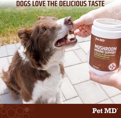 Pet MD Mushroom Immune Support for Dogs & – Turkey Tail Mushroom: Known for immune-modulating properties, rich in – Image 6