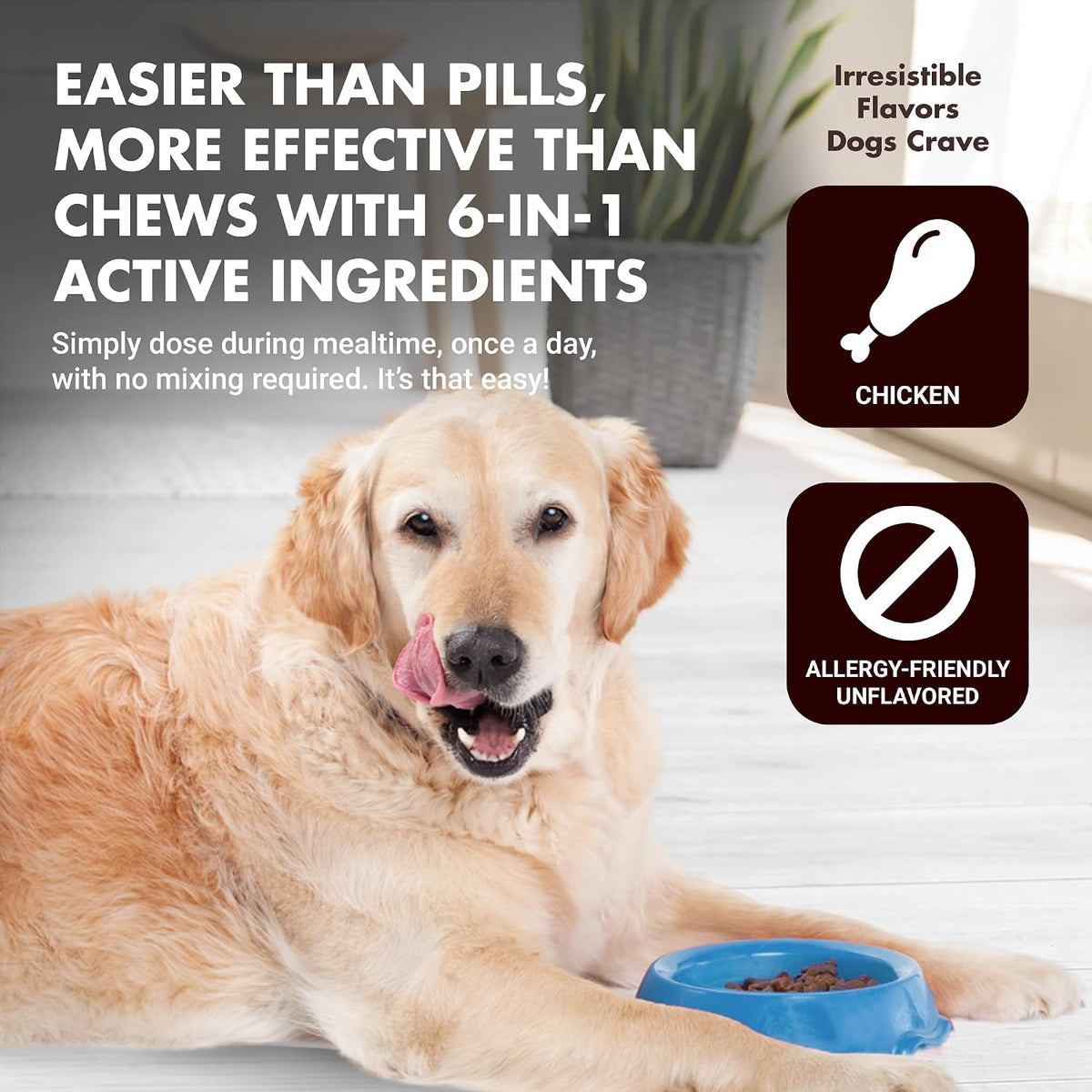Liquid-Vet Immune Support for Dogs – – Beta-Glucan : A fibre from yeast cell walls that helps modulate immune – Image 5