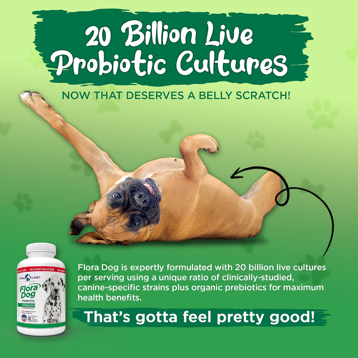 Vital Planet Flora Dog Probiotic for Dogs - 20 Billion CFU, 60 Chewable Tablets - görsel 5