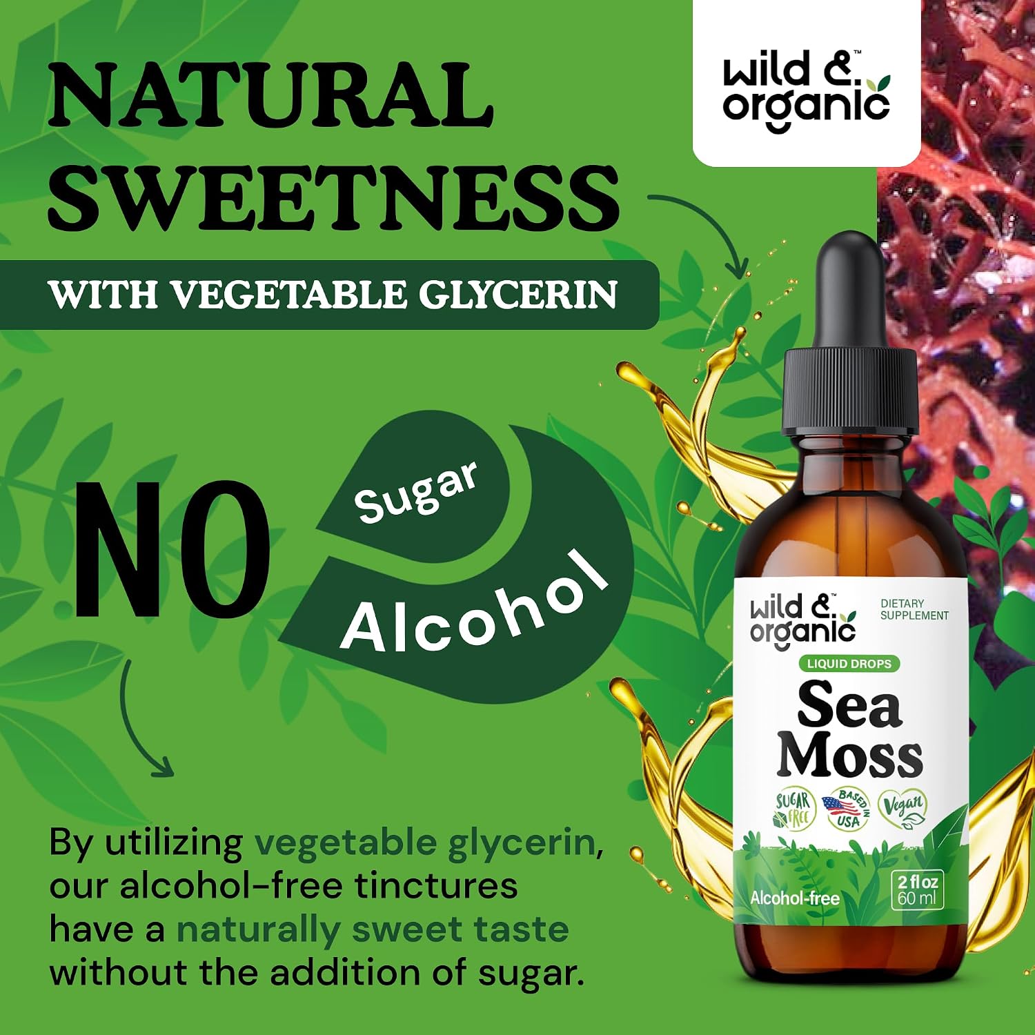 Wild & Organic Sea Moss Liquid Drops – Immune Support – Irish Sea Moss and Bladderwrack Tincture – Multimineral Chondrus Crispus Supplement – Vegan, Sugar & Alcohol-Free – 59 mL - görsel 6