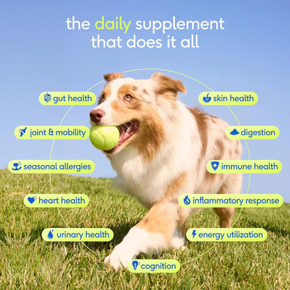 Native Pet The Daily: 11-in-1 Dog Multivitamin Powder for Aussie Dogs
