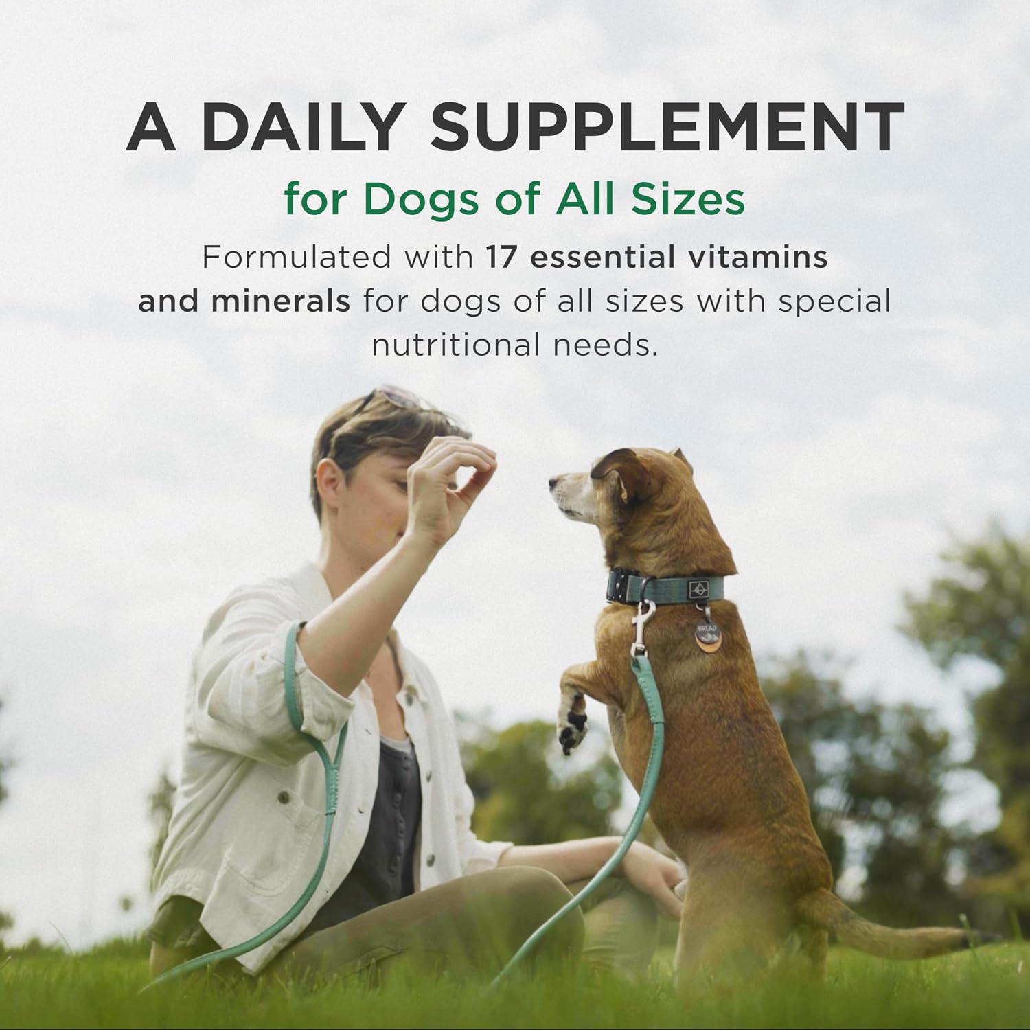 Pet-Tabs Multivitamin and Mineral Supplement for Dogs - 180 Chewable Tablets - görsel 3
