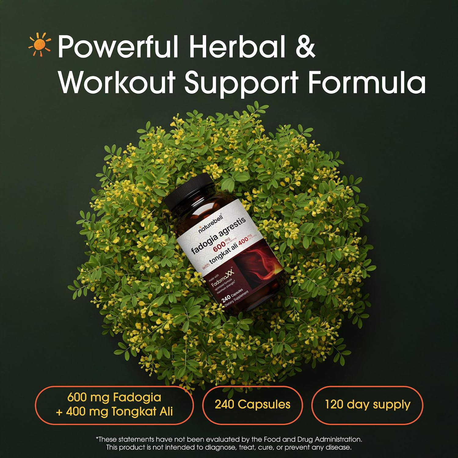NatureBell Fadogia Agrestis 600mg & Tongkat Ali 400mg - 240 Capsules (4-Month Supply) - görsel 2
