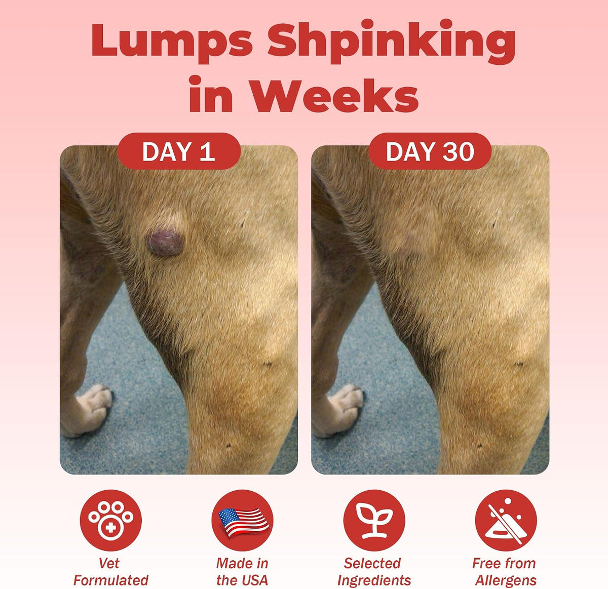 Dog Lumps and Bumps Supplement, Lipoma Treatment for Dogs - Immune Support Chews with Turkey Tail Mushroom, Reishi, – Image 2