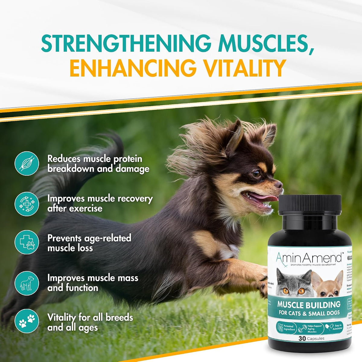 AminAmend Muscle Support Pet Supplement for Small Dogs and Cats with CaHMB and Vitamin D3 – 30 Capsules – Image 2