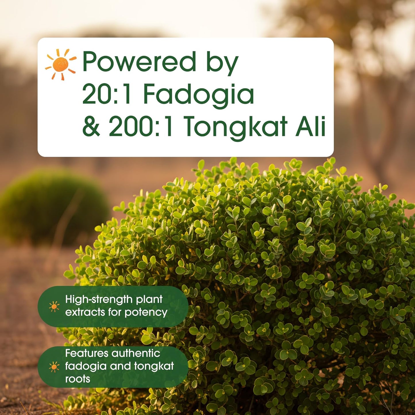 NatureBell Fadogia Agrestis 600mg & Tongkat Ali 400mg - 240 Capsules (4-Month Supply) - görsel 6