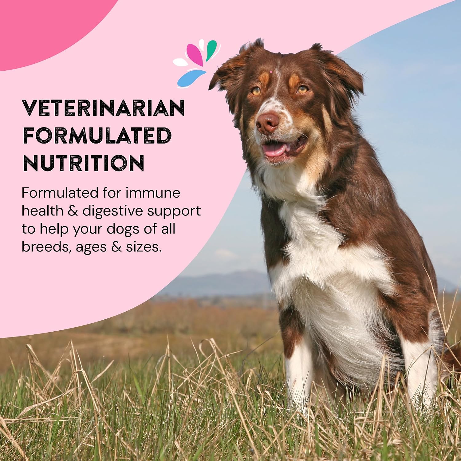 Happy Go Healthy Skin & Coat Supplements for Dogs with Probiotics, Prebiotics & Wild Salmon Omega-3s, All Breeds, 120 Count - görsel 6