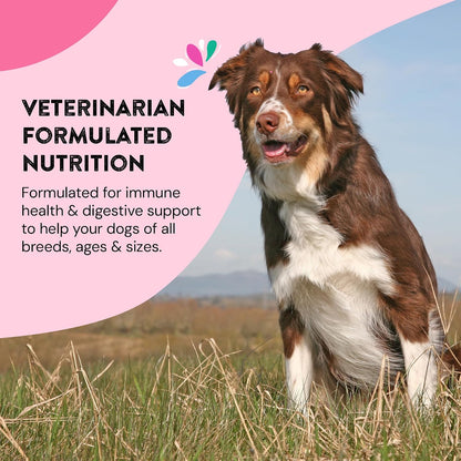 Happy Go Healthy Skin & Coat Supplements for Dogs with Probiotics, Prebiotics & Wild Salmon Omega-3s, All Breeds, 120 Count