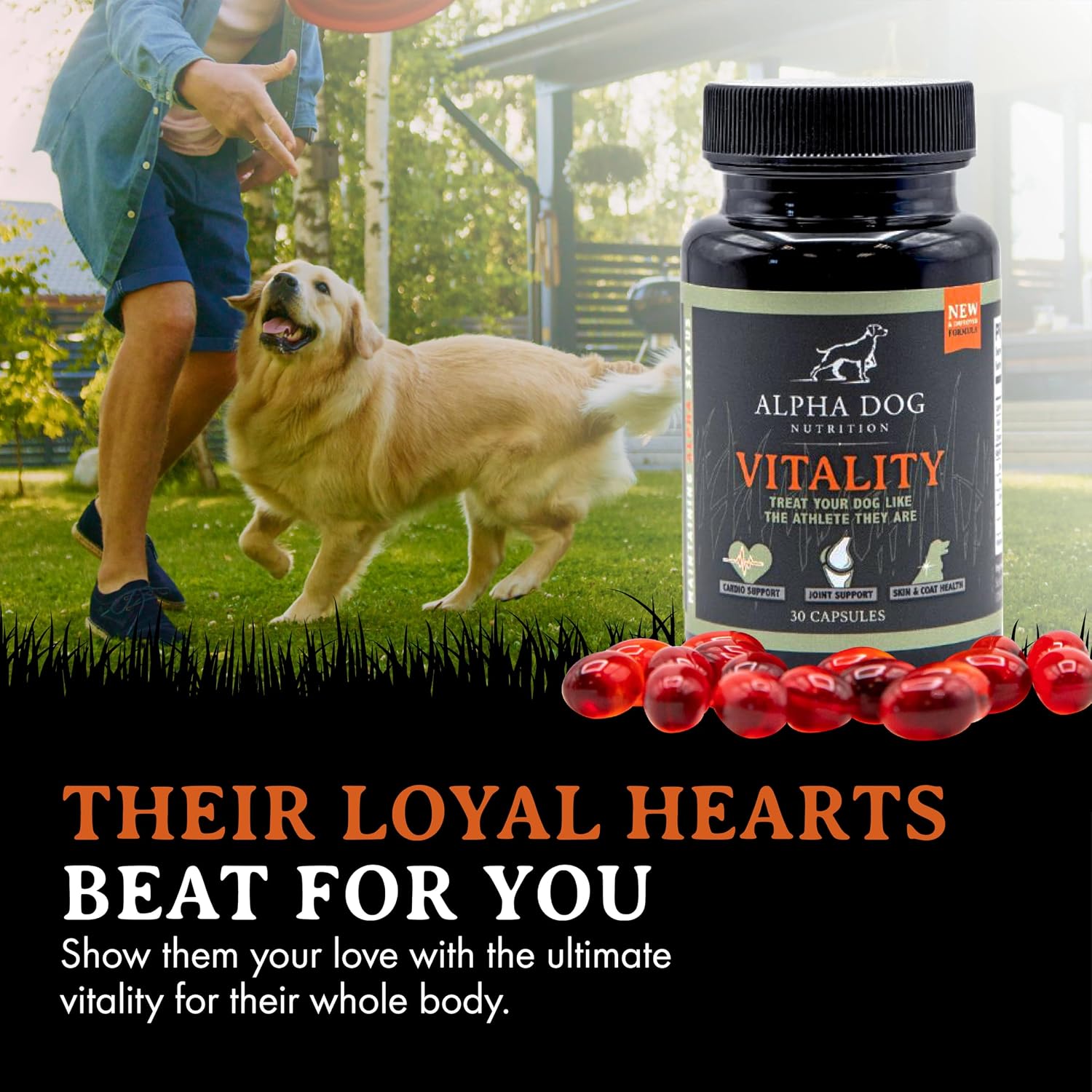 Krill Oil for Dogs – Vitality from Alpha Dog Nutrition - görsel 6