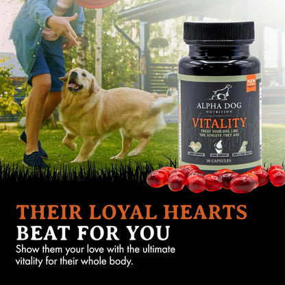 Krill Oil for Dogs – Vitality from Alpha Dog Nutrition