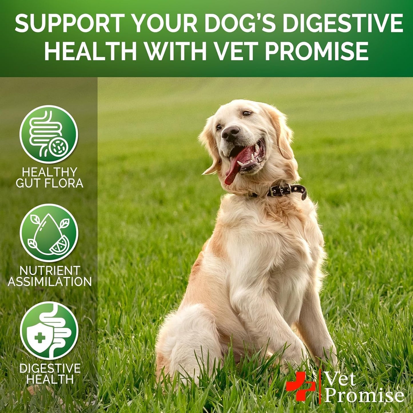 (2 Pack) Probiotics for Dogs - Dog Probiotics and Digestive Enzymes for Gut Health, Itchy Skin, Allergies, Immunity, Yeast Balance - Prebiotics - Reduce Diarrhoea, Wind - 240 Probiotic Chews for Dogs - görsel 4