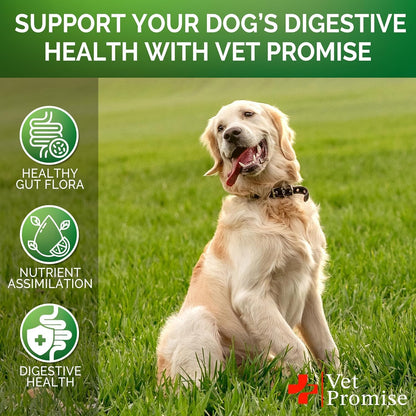 (2 Pack) Probiotics for Dogs - Dog Probiotics and Digestive Enzymes for Gut Health, Itchy Skin, Allergies, Immunity, Yeast Balance - Prebiotics - Reduce Diarrhoea, Wind - 240 Probiotic Chews for Dogs