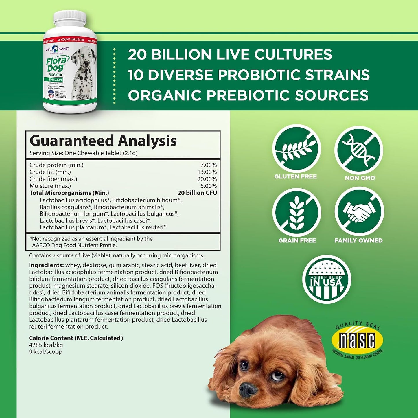 Vital Planet Flora Dog Probiotic for Dogs - 20 Billion CFU, 60 Chewable Tablets - görsel 2