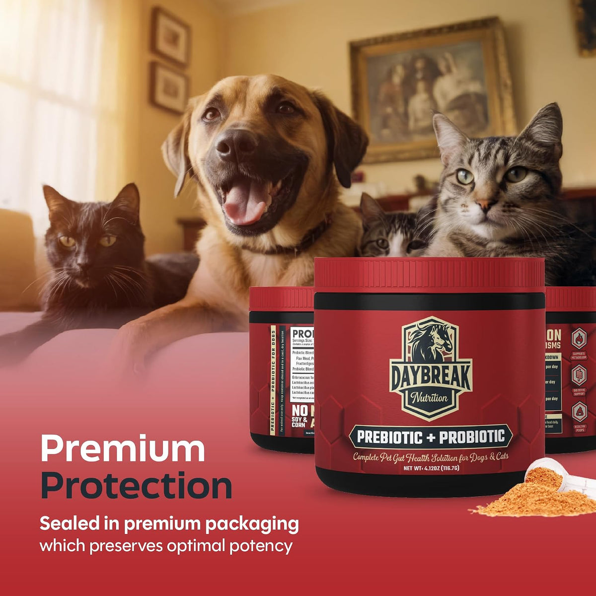 Daybreak Nutrition Probiotics for Cats & Dogs - 6 Billion CFU Prebiotic & Probiotic Powder - 8 Strains - Gut Health – Image 5