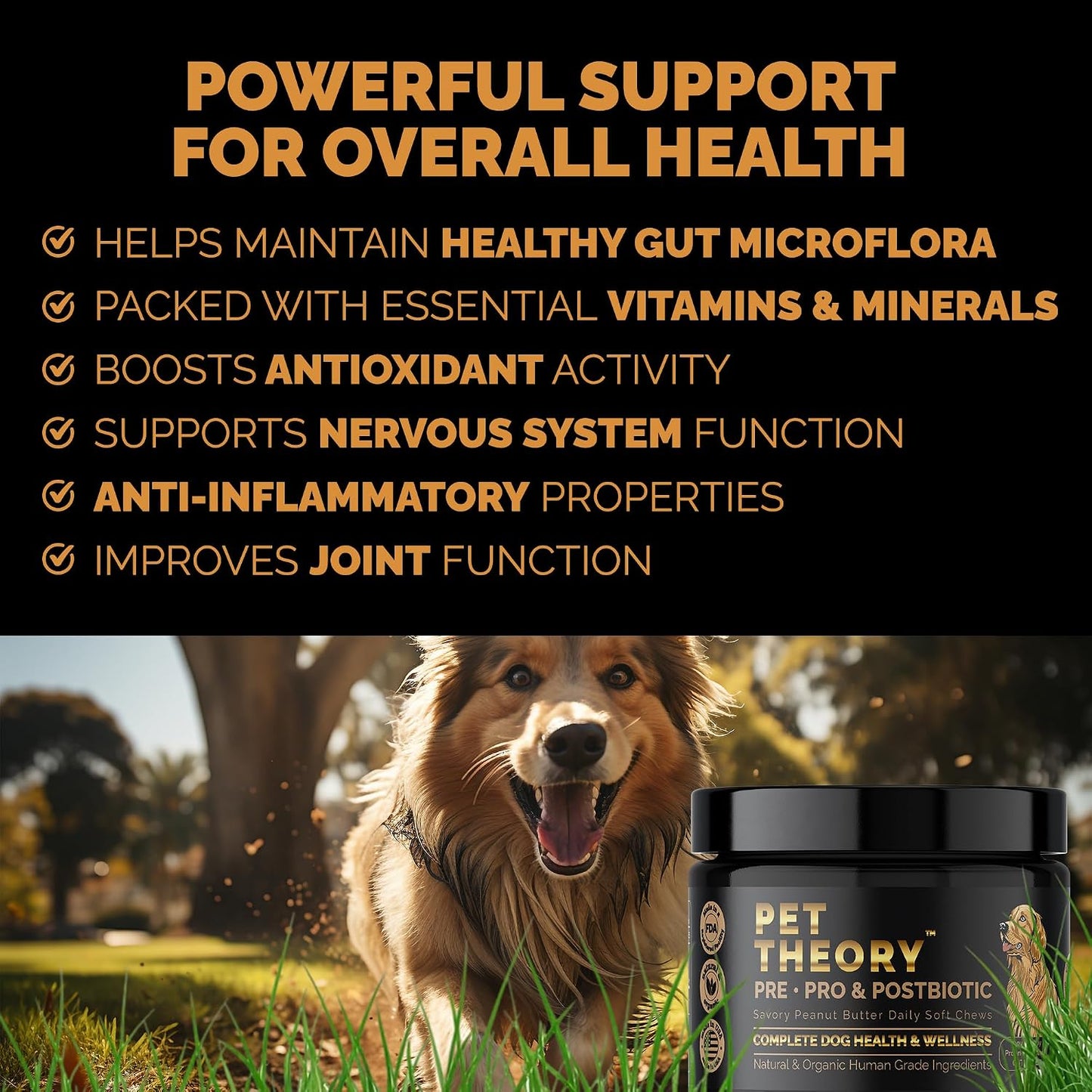 Pet Theory Probiotics for Dogs – Pre, Pro & Postbiotic Soft Chews for Digestive Health and Immune Support (100 Chews) - görsel 5