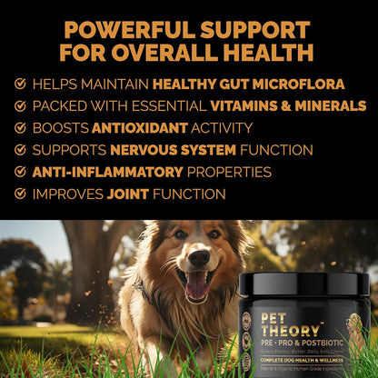 Pet Theory Probiotics for Dogs – Pre, Pro & Postbiotic Soft Chews for Digestive Health and Immune Support (100 Chews)