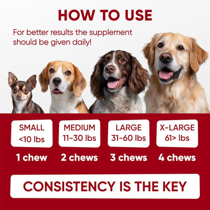 Pawzitive Pets Probiotics for Dogs - – Digestive Support: Probiotics help keep bowel movements regular and can – Image 9