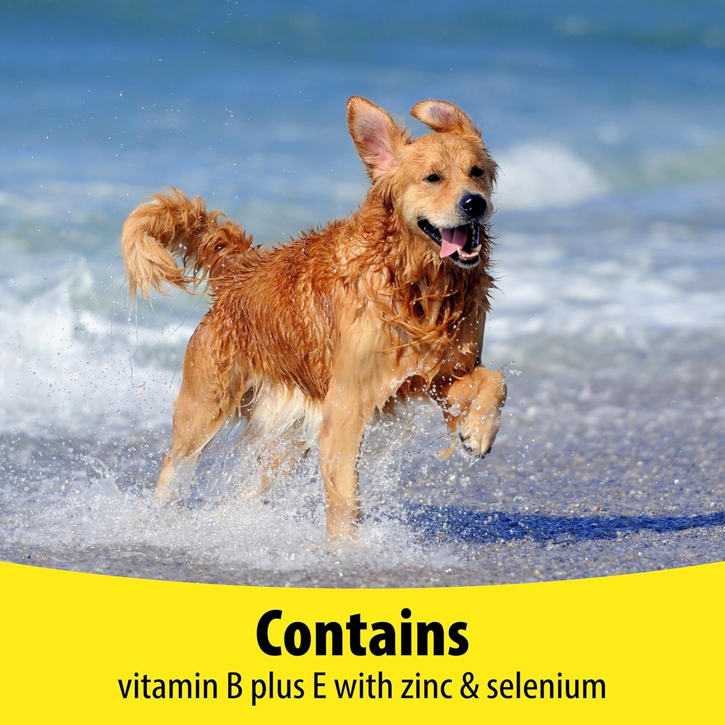 Vetzyme Dog B+E 200 Tablets - görsel 6