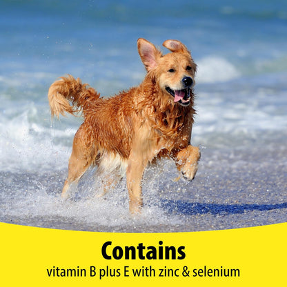 Vetzyme Dog B+E 200 Tablets