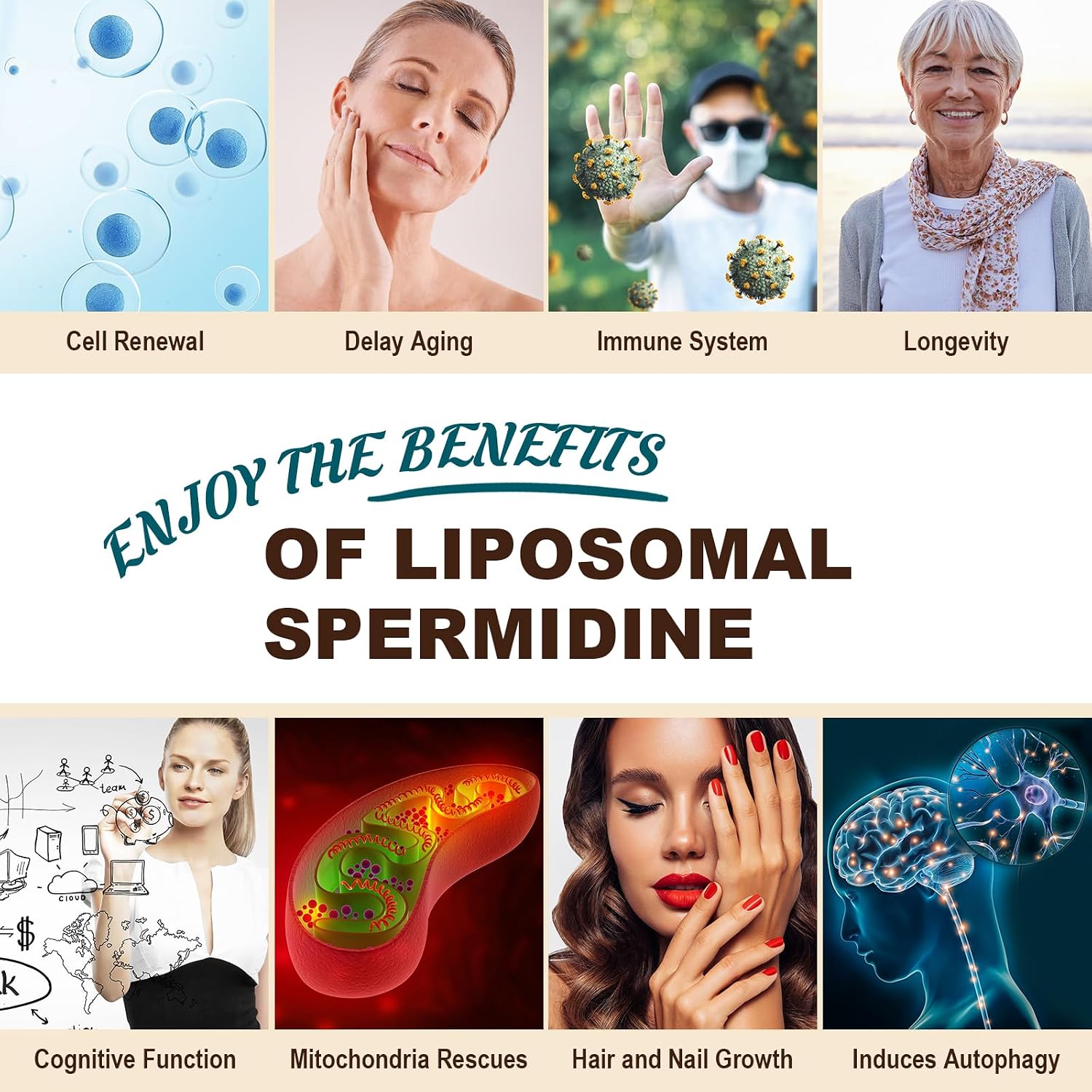 Sohahila Spermidine Supplement 15 mg – Liposomal with Zinc & Thiamine, 60 Softgels - görsel 7