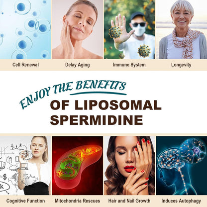 Sohahila Spermidine Supplement 15 mg – Liposomal with Zinc & Thiamine, 60 Softgels