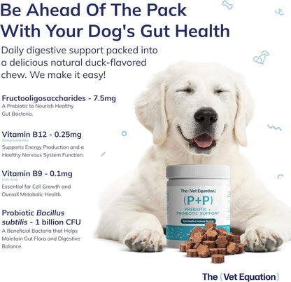 Prebiotic & Probiotic Dog Chews with – Energy and Vitality: Vitamin B12 plays a key role in red blood cell – Image 3