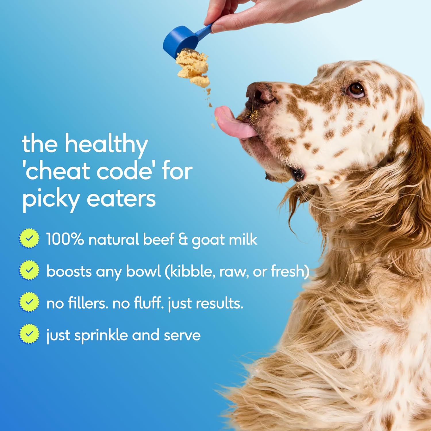 Native Pet The Daily: 11-in-1 Dog Multivitamin Powder for Aussie Dogs - görsel 10