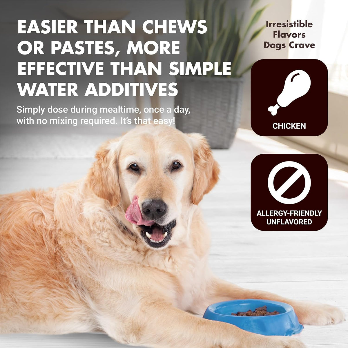 Immune Support for Dogs – Antioxidant – Inulin : A prebiotic fibre that feeds beneficial bacteria in the gut. A – Image 5