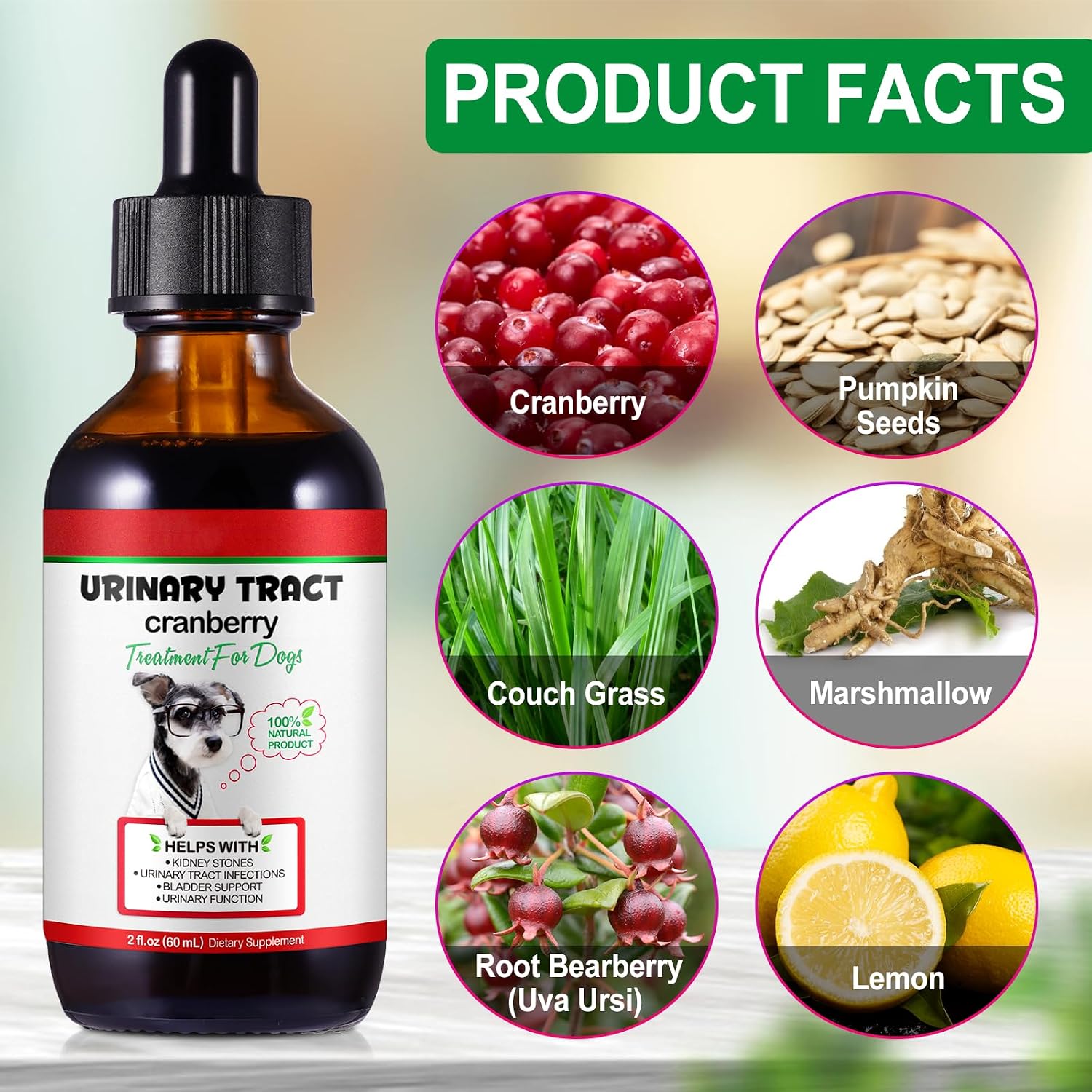 Urinary Tract Supplement for Dogs with Cranberry - 60 ml - görsel 2