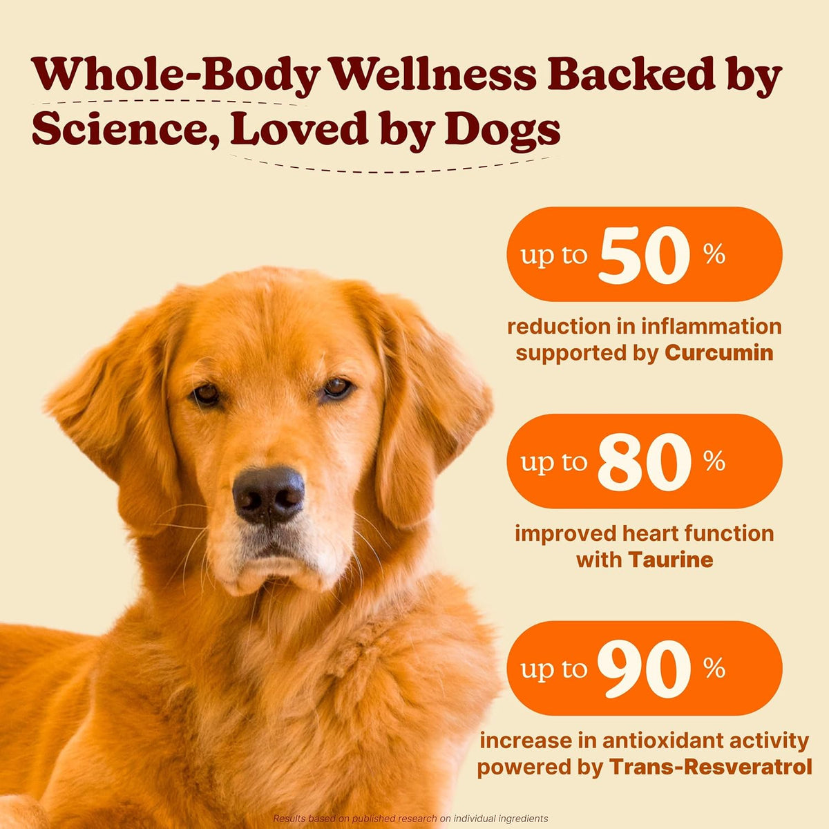 Furevery 11-in-1 Dog Multivitamin Chews – – Curcumin and Trans-Resveratrol: Curcumin from turmeric and – Image 2