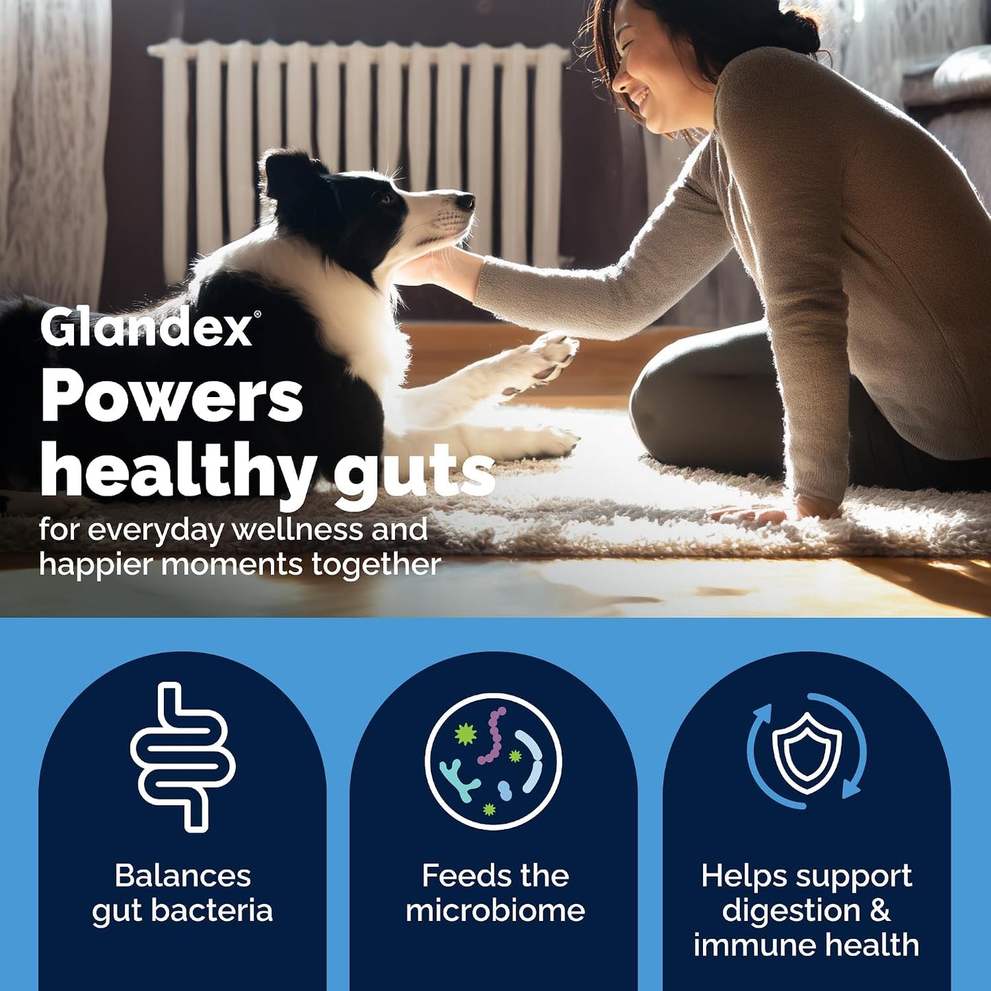 Vetnique Glandex Daily Probiotic Chews for Dogs – Gut & Immune Health (30ct) - görsel 4