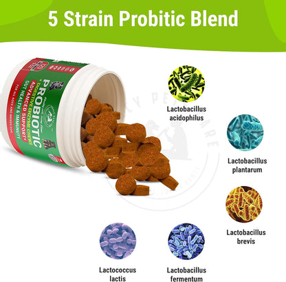 Probiotics for Dogs Soft Chews, 120 Chews – Complete Gut Care for Digestive & Immune Support | Probiotics for Digestive – Image 2
