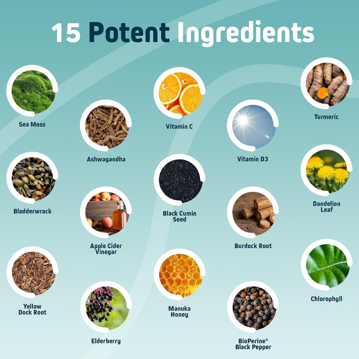 Herbtonics Sea Moss, Black Cumin Seed, Ashwagandha, Burdock Root & ACV Complex - 60 Capsules - görsel 4