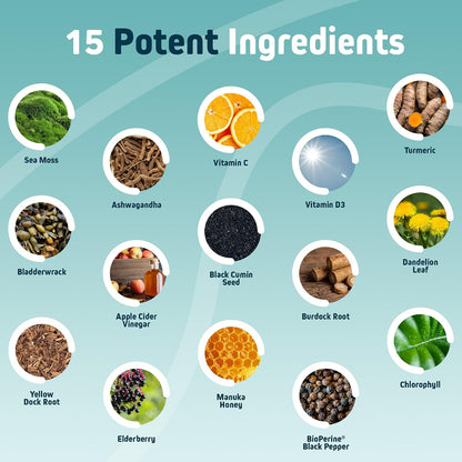 Herbtonics Sea Moss, Black Cumin Seed, Ashwagandha, Burdock Root & ACV Complex - 60 Capsules
