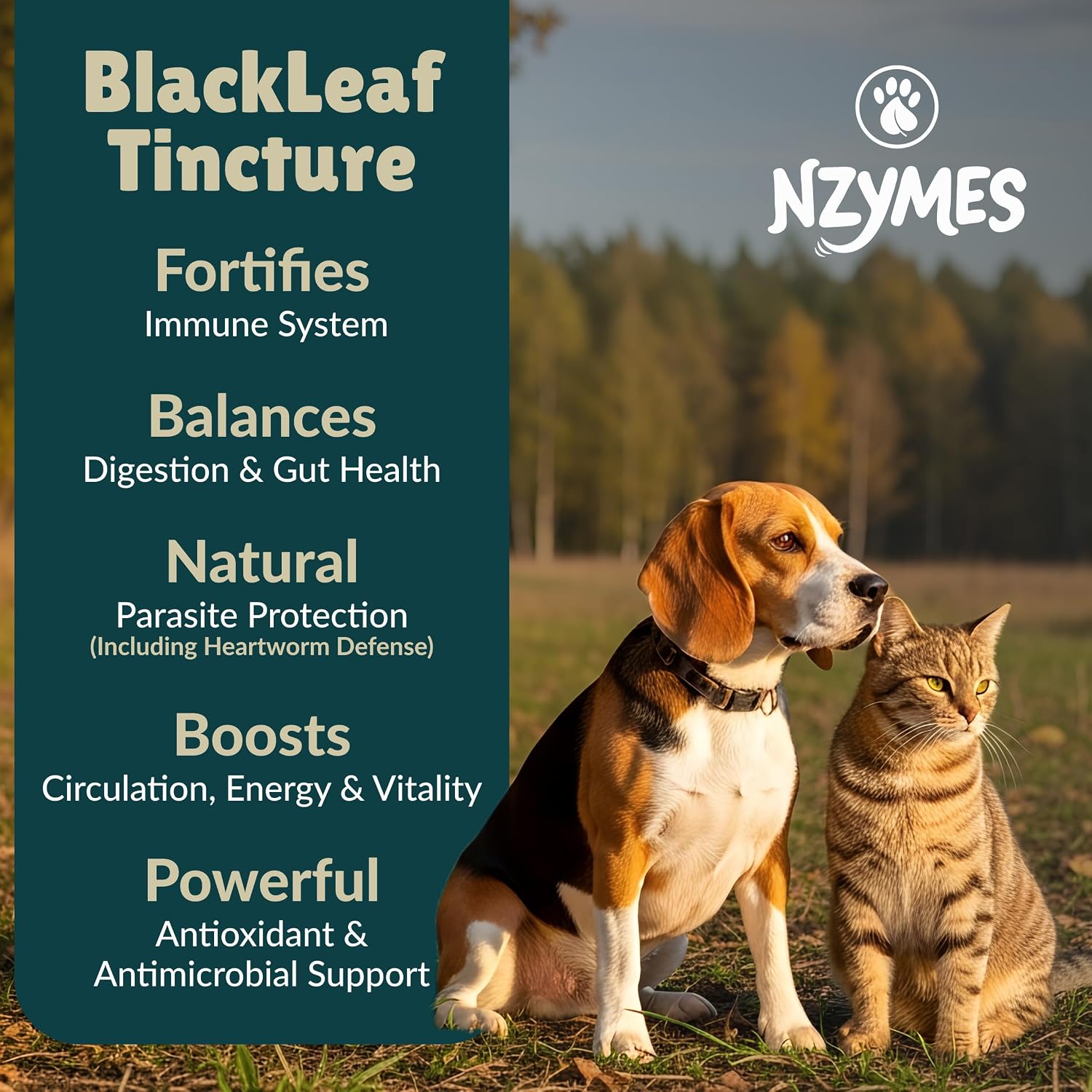BlackLeaf Tincture for Pets - 3 Pack - görsel 2
