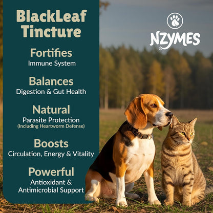 BlackLeaf Tincture for Pets - 3 Pack