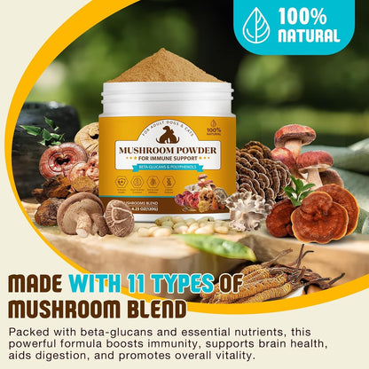 Organic Mushroom Supplement Powder for Dogs – Reishi (Ganoderma lucidum): Often called the 'mushroom of – Image 2